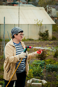 园艺和人的概念 — 快乐的老年妇女在夏天用花园软管浇灌草坪
