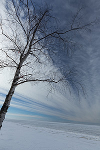 冬季雪海海岸波罗的海拉脱维亚Saulkrasti