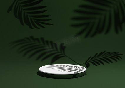 深色、暖绿色、3D 渲染简单、最小的产品展示组合背景，在自然产品的背景中有 ont 讲台或展台和树叶阴影。