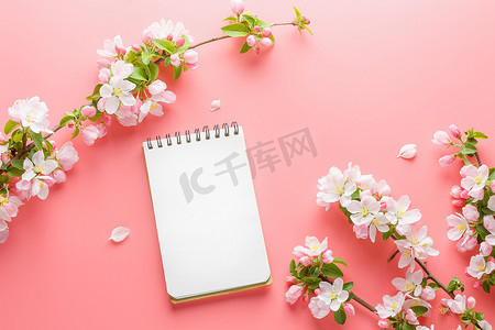 粉红色背景上盛开的春天樱花，带有记事本空间，用于问候消息。