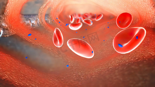 感染摄影照片_红细胞、红血或红血球是最常见的血液样本。
