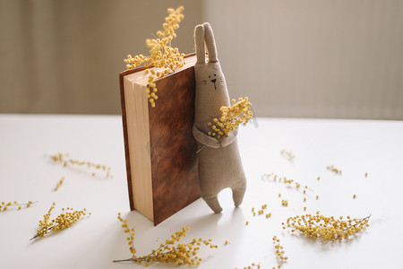 玩具小兔子摄影照片_一本书和一个有趣的手工制作的小兔子玩具，上面有含羞草花。