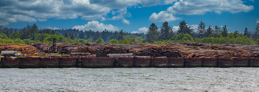 伐木机摄影照片_俄勒冈州海岸的伐木作业