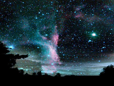 夜深蓝色天空和剪影树中的星系
