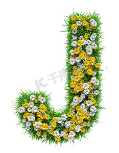 绿草和鲜花的字母 J