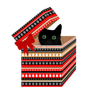 圣诞礼盒，里面有黑猫