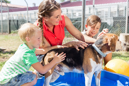 动物收容所水池中的家庭洗狗