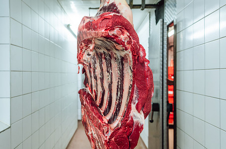 牛肉生产摄影照片_一块牛肉在屠宰场等待加工