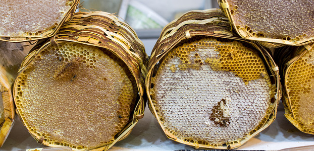 密封的蜂巢架中的新鲜蜂蜜