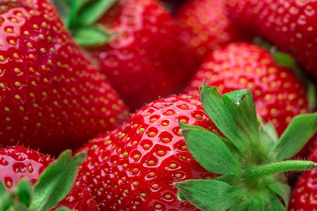 新鲜的草莓背景。