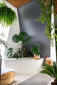 带白色浴缸、热带植物、木制装饰元素和身体护理化妆品的美丽而舒适的浴室