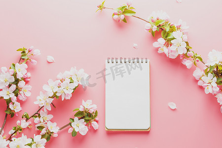 粉红色背景中盛开的春天樱花，带有记事本空间供留言。