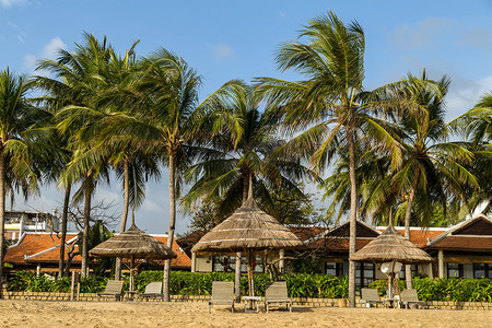 热带沙滩夏季海滩上的躺椅遮阳伞
