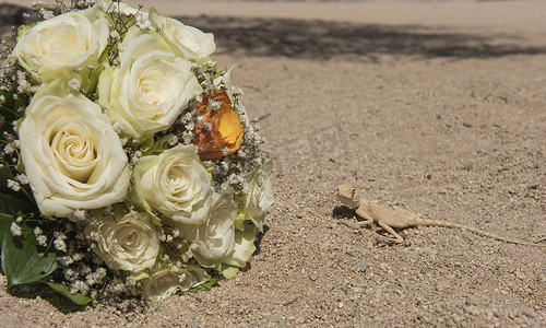 埃及沙漠蜥蜴在沙漠与婚礼花花束