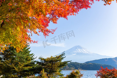 日本河口湖秋天的富士山