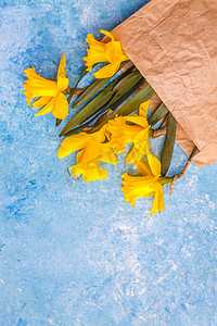 水仙花的花在蓝色大理石背景上是黄色的
