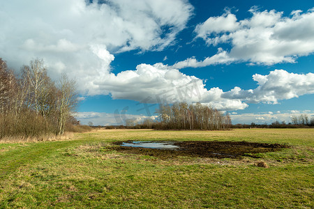 草地上的水和泥，春天的景色