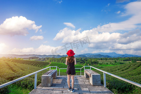 绿色茶山摄影照片_绿茶山戴红帽子的漂亮女孩。