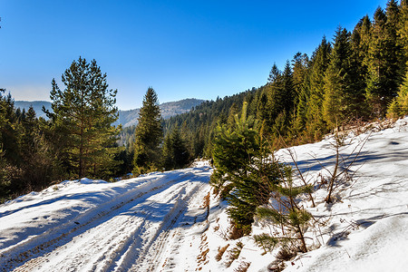 冬天通往山林的路