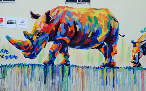 犀牛涂鸦艺术，犀牛绘画