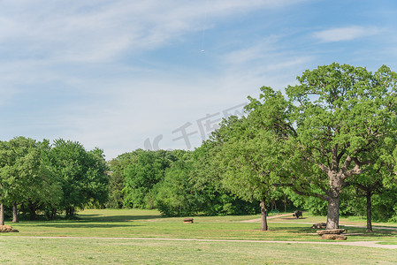 美国得克萨斯州自然城市公园，草坪和树木茂盛
