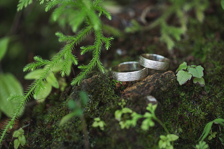森林绿色苔藓上的金色结婚戒指。