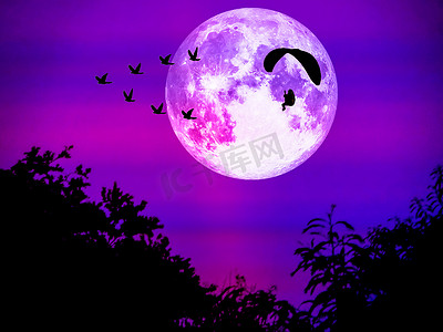 动力伞在夜色中跟随鸟儿飞翔和超级月亮