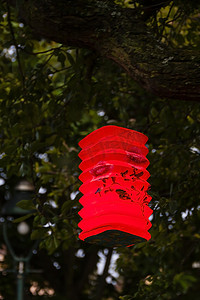 花园中式摄影照片_树上的纸灯