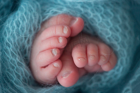 两只可爱的小婴儿脚裹着蓝绿色的水色针织毯