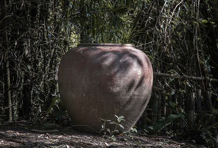 旧的大陶罐或大型复古粘土罐，用于在花园的地面上储水，有许多绿树自然。