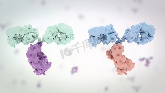 抗体是免疫系统产生的对抗感染的蛋白质。
