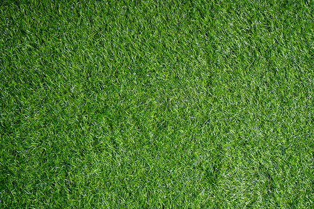 后院草坪摄影照片_背景 绿色草坪的田野看起来在上面。