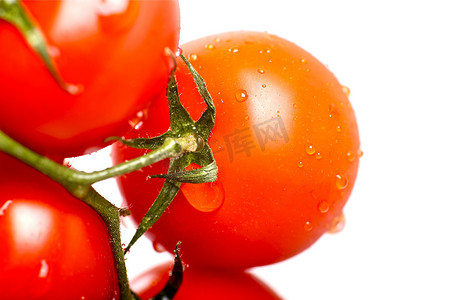 西红柿新鲜度