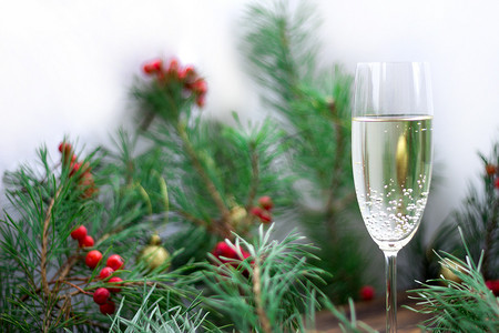 金色松枝摄影照片_圣诞静物，香槟，松枝，红罗文，戈尔德