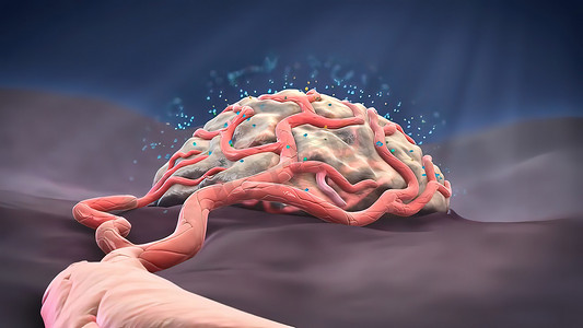 血管生成信号周细胞，空间隔离的收缩细胞 3D 医学插图