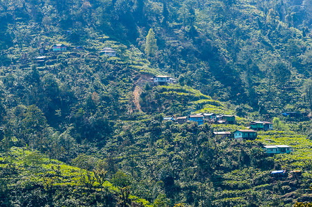 喜马拉雅山地区开阔乡村的绿色梯田和美丽的黄色草地上的一个小部落村庄的景观全景。