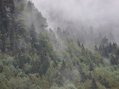 浓雾森林摄影照片_凉爽雨后山间浓雾