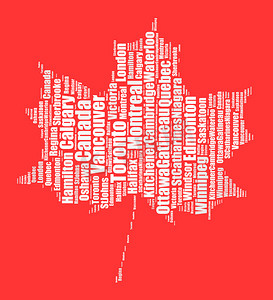 加拿大最大的人口普查大都市区