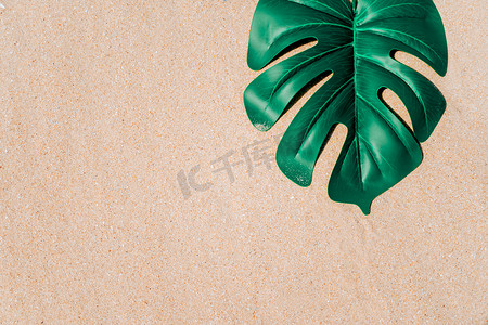 竹叶纹理摄影照片_沙子纹理背景夏季海滩上的热带龟背竹叶。