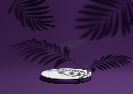 深紫色、紫色、3D 渲染一个简单、最小的产品展示构图背景，在自然产品的背景中带有讲台或支架和树叶阴影。