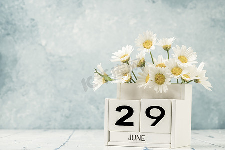 二十九摄影照片_六月的白色立方体日历装饰着雏菊花