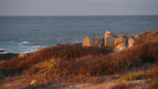 多岩石的海洋海岸，剧烈的海浪，加利福尼亚州蒙特利海滩，鸟儿飞翔。