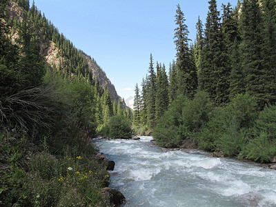 与绿色森林和山的河流景观