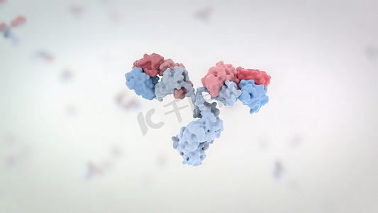 药物分子摄影照片_典型抗体分子的结构。抗体和氨基酸