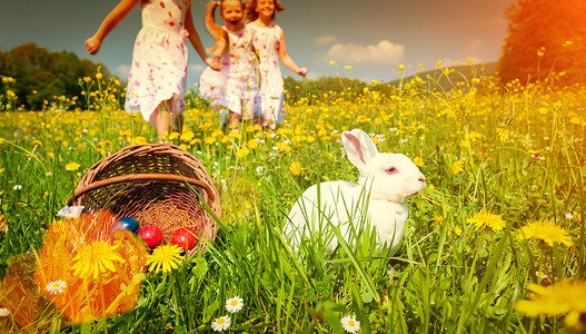 孩子们在草地上用兔子寻找复活节彩蛋