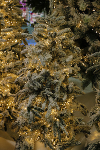 冬天挂在云杉常绿圣诞树上的圣诞灯装饰，晚上有灯光。