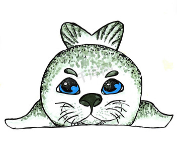 贴纸小图标摄影照片_在白色背景的小灰色海豹贝莱克小海豹。