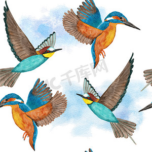 水彩无缝手绘图案与森林林地中的野生翠鸟食蜂鸟。