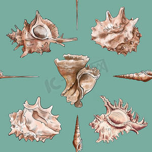 背景大海摄影照片_蓝色背景下棕色海洋生物贝壳的水彩数字插图无缝图案