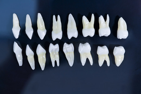 蓝色背景下白色牙齿的顶部视图